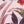 Crimson Bloom Botanical Poster