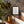 Create your Canvas (Vertical)